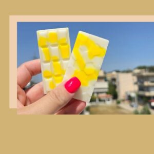 Wax melts/ Snap Bars